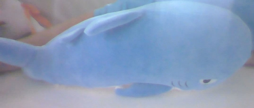 Blue Shark Plush